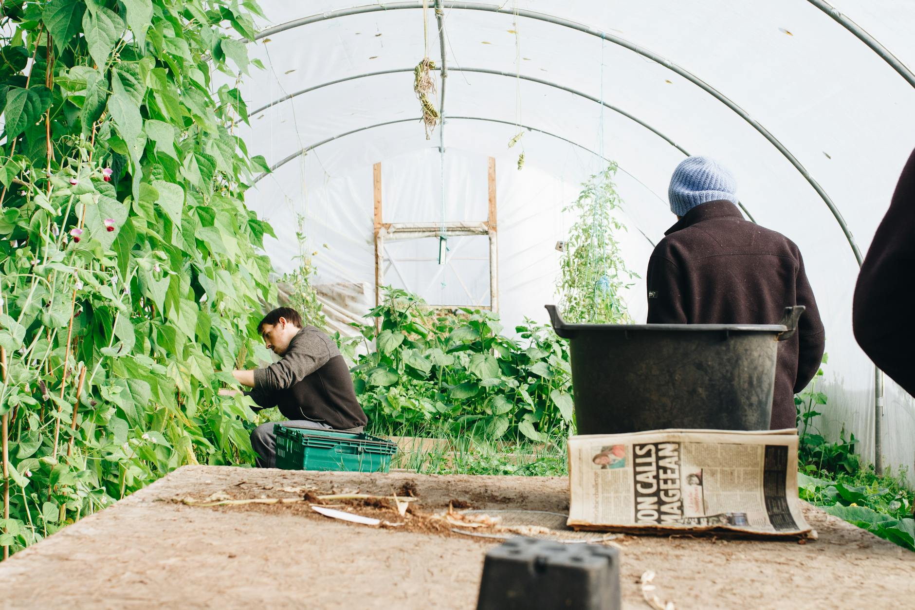 man wearing black jacket inside the greenhouse